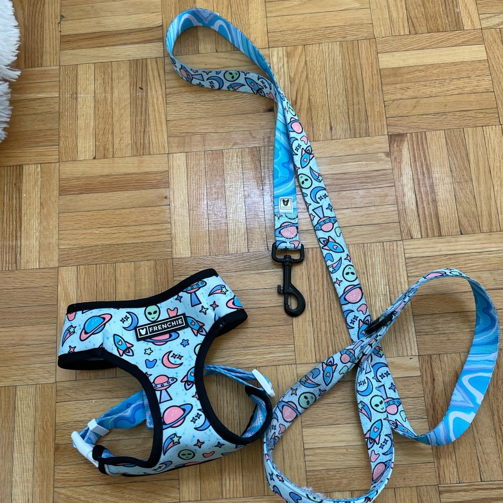 Small dog harness and leash